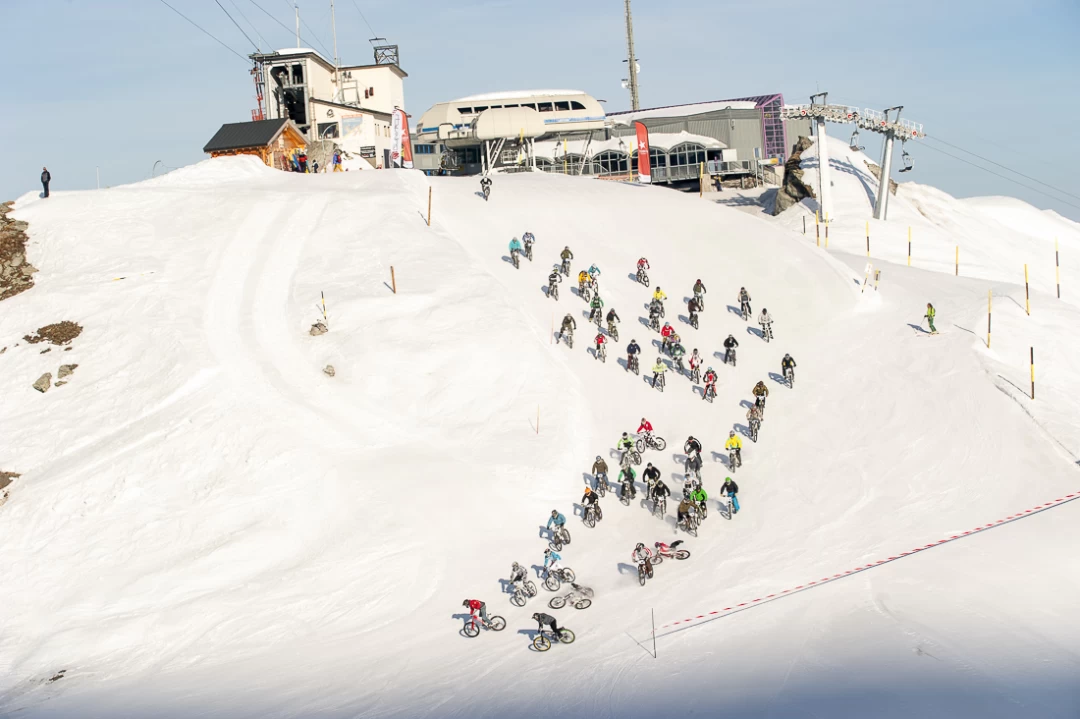 Big White Verbier