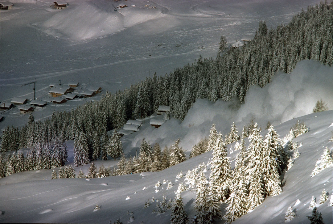 Carrefour Avalanche 1984