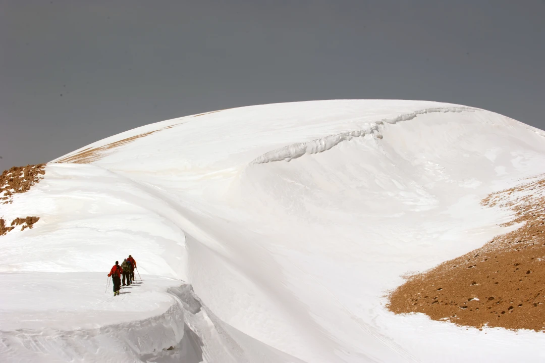 Cedars Lebanon 05.03.2010 -101