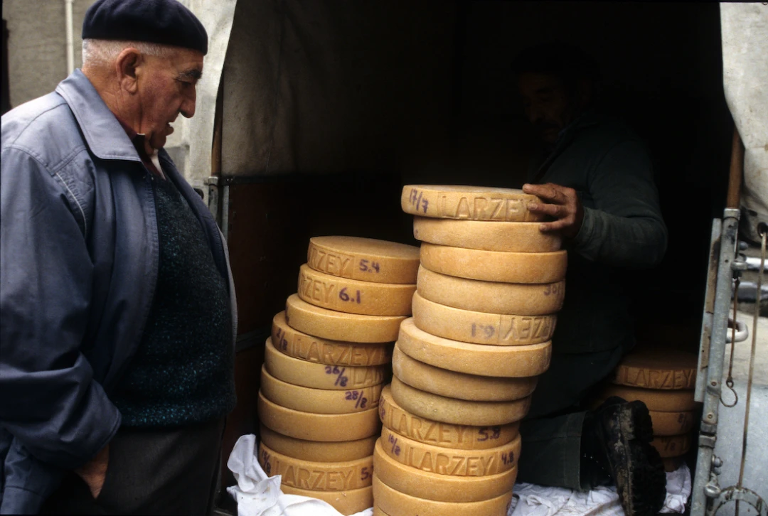 Cow-Culture_Vallee-du-Bagne-VS-Switzerland09