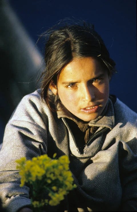 Dal-Lack-Kashmir