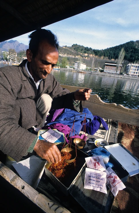 Dal-Lake-Kashmir_Safran-Salseman05