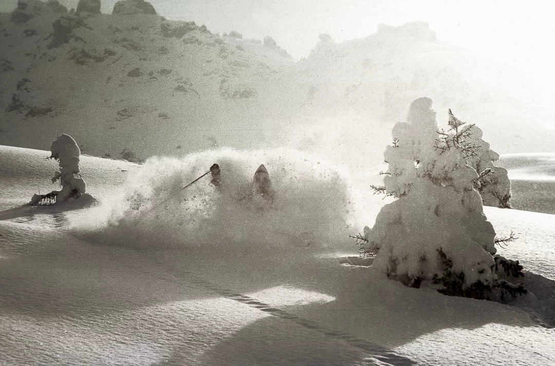 Dana Willmer CA Verbier 70's