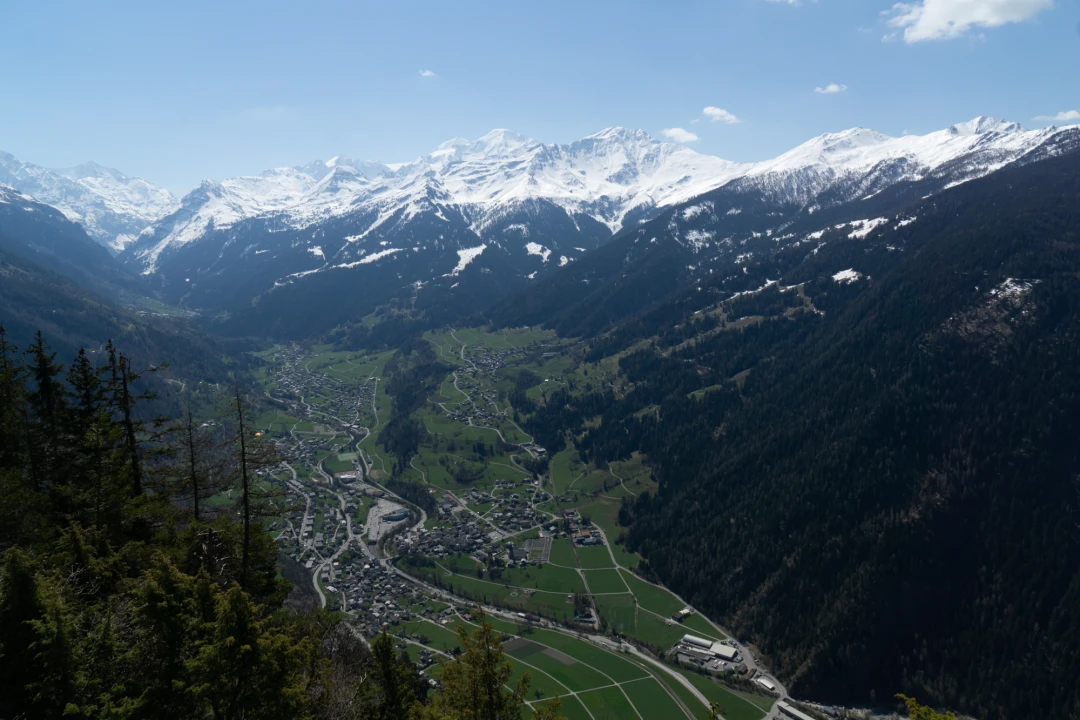 DSC08571-10