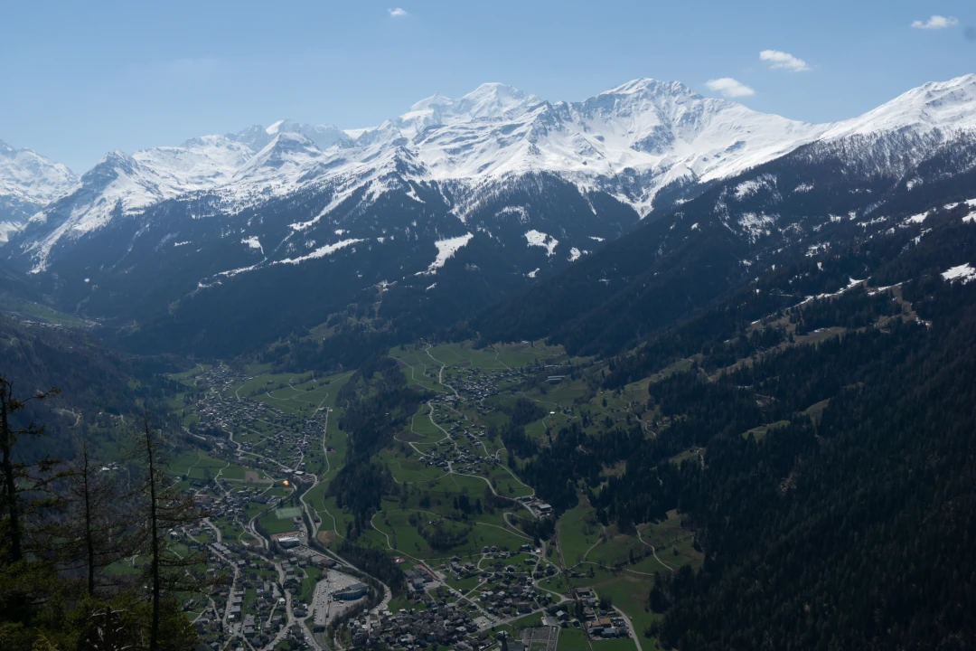 DSC08572-11
