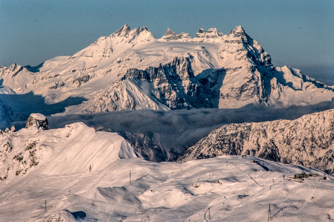 DSC_1453-62-78