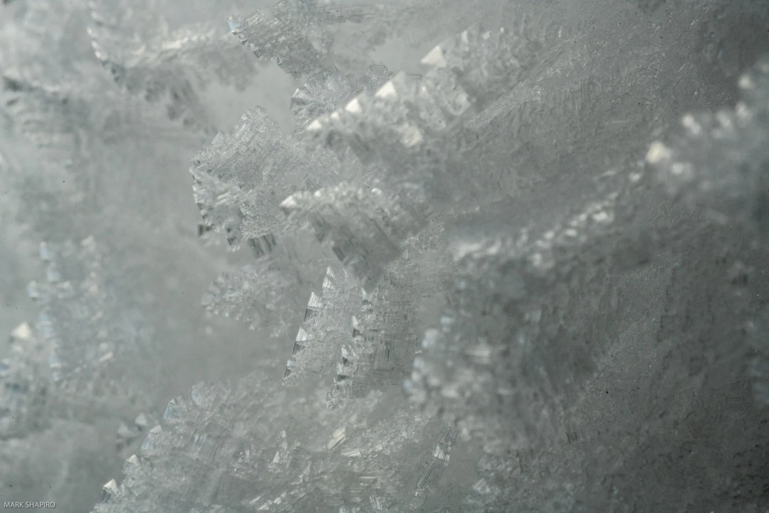 Elements Ground&Window Frost-148