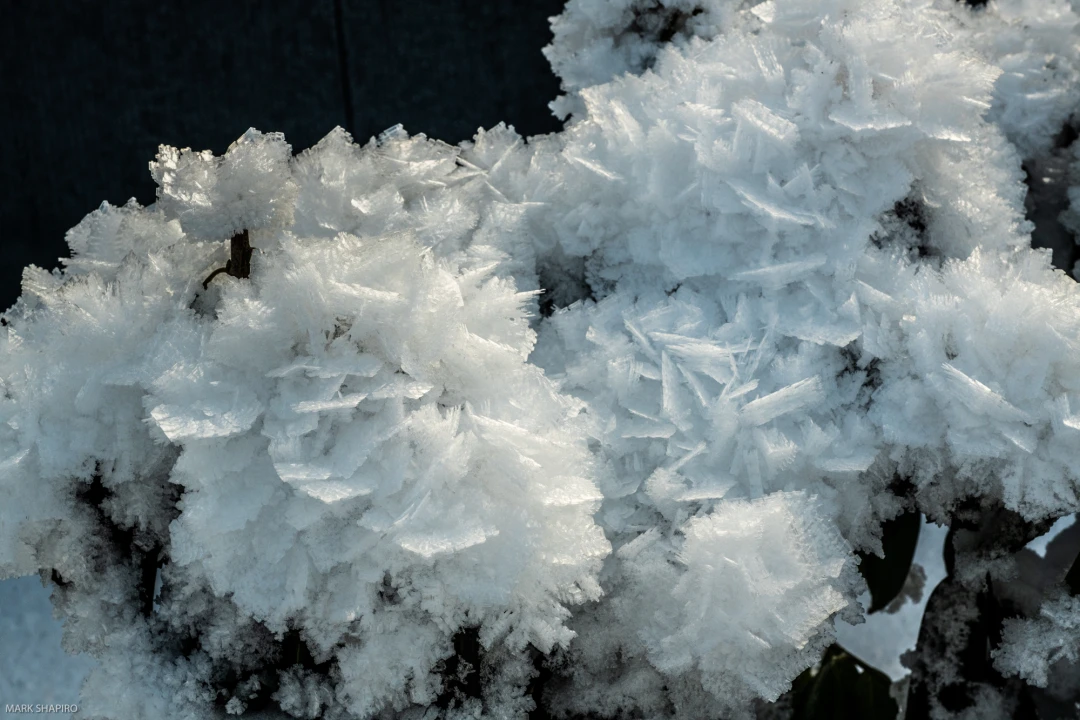 Elements Ground&Window Frost-191