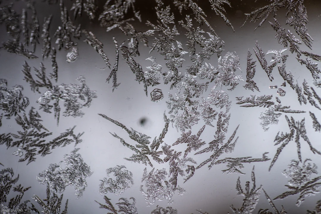 Elements Ground&Window Frost-215