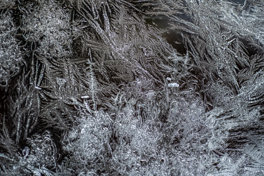Elements Ground&Window Frost-67