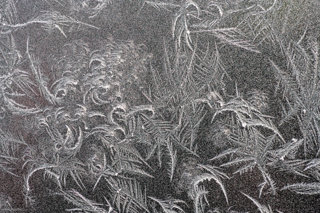 Elements Ground&Window Frost-79