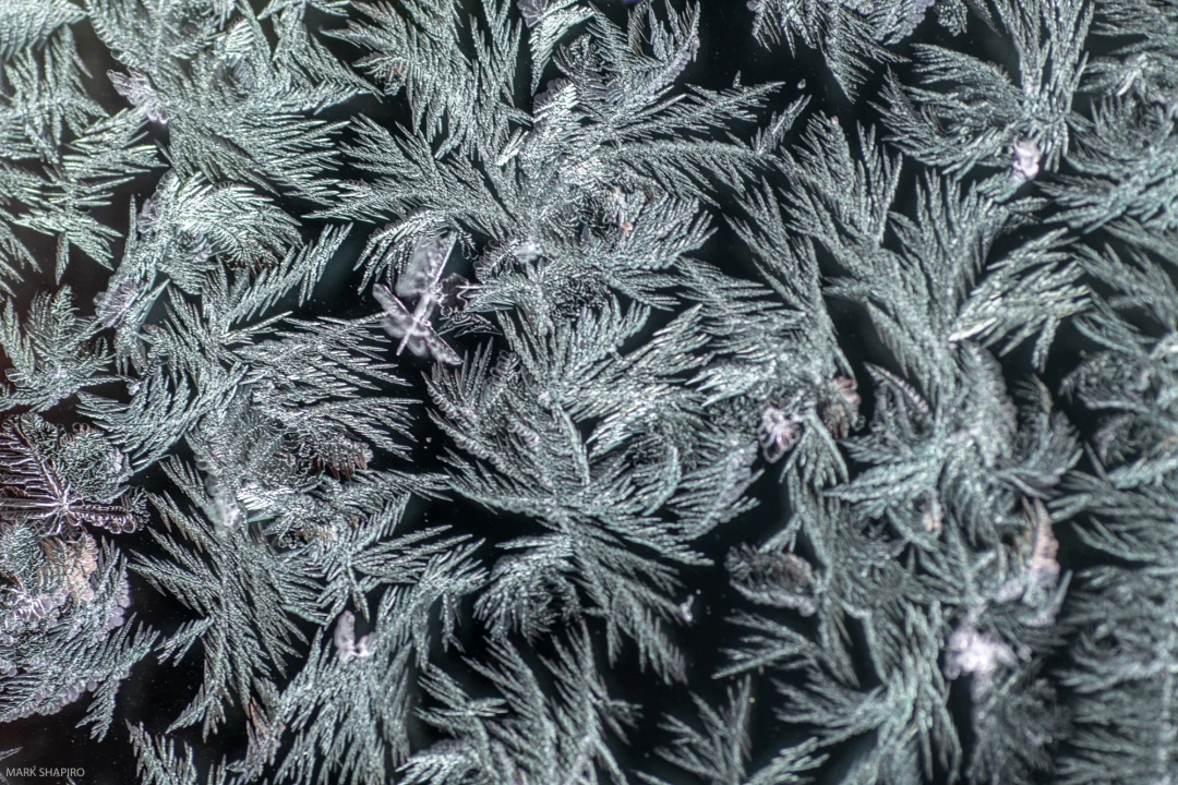 Elements Ground&Window Frost-92