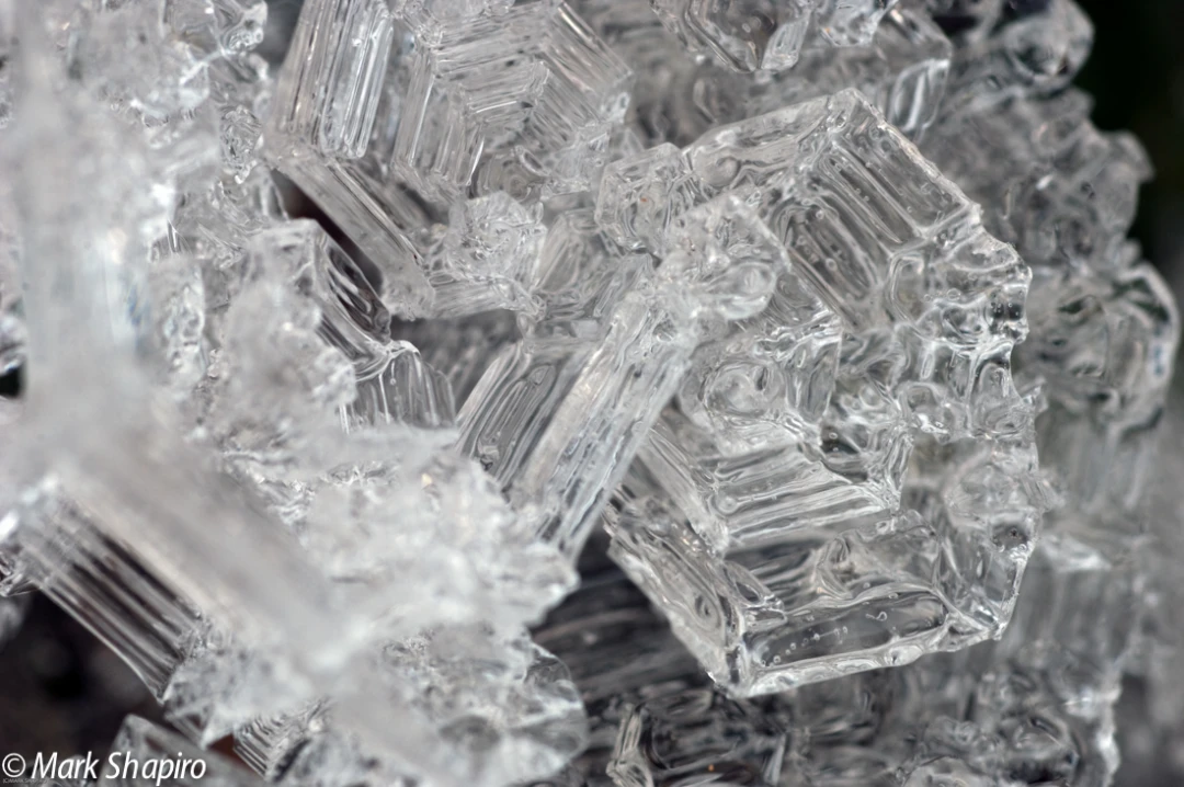 Elements-Ground Frost-100