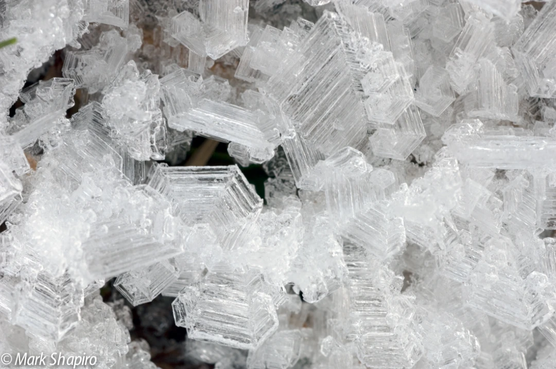 Elements-Ground Frost-101