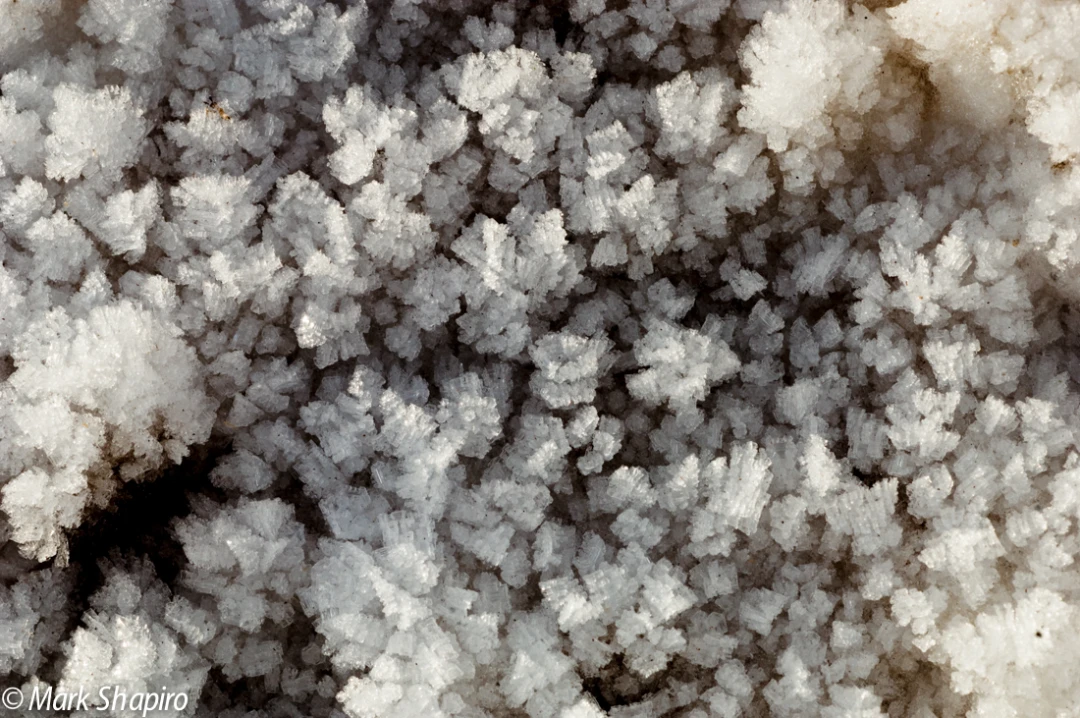Elements-Ground Frost-10
