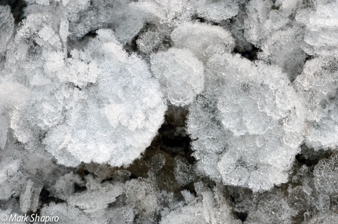 Elements-Ground Frost-104