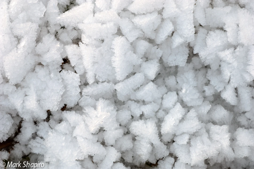 Elements-Ground Frost-107