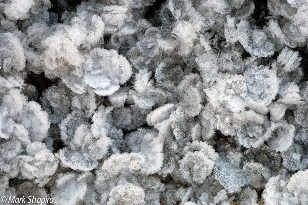 Elements-Ground Frost-111