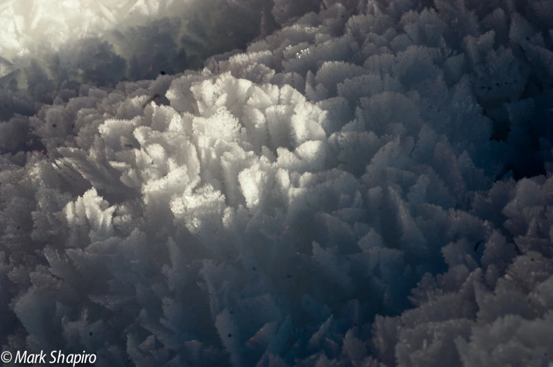Elements-Ground Frost-11