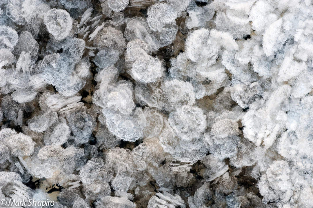 Elements-Ground Frost-112