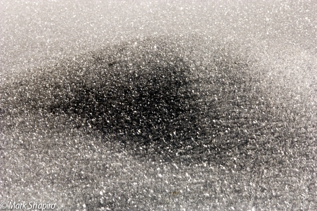 Elements-Ground Frost-114