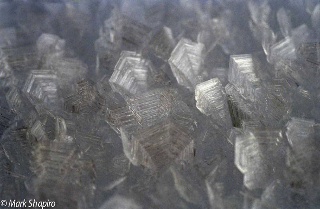 Elements-Ground Frost-1