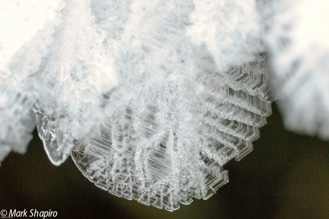 Elements-Ground Frost-117