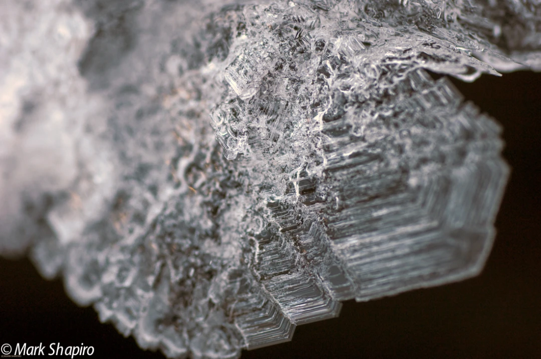 Elements-Ground Frost-118