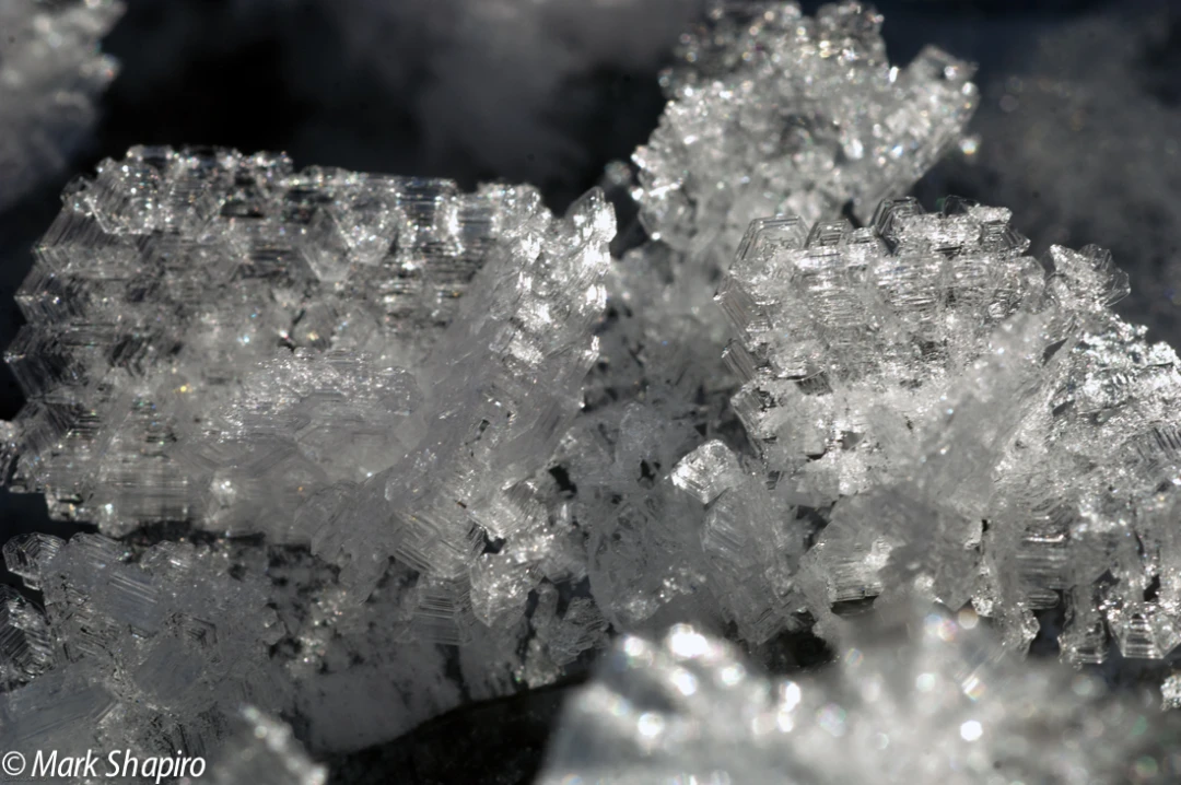 Elements-Ground Frost-121