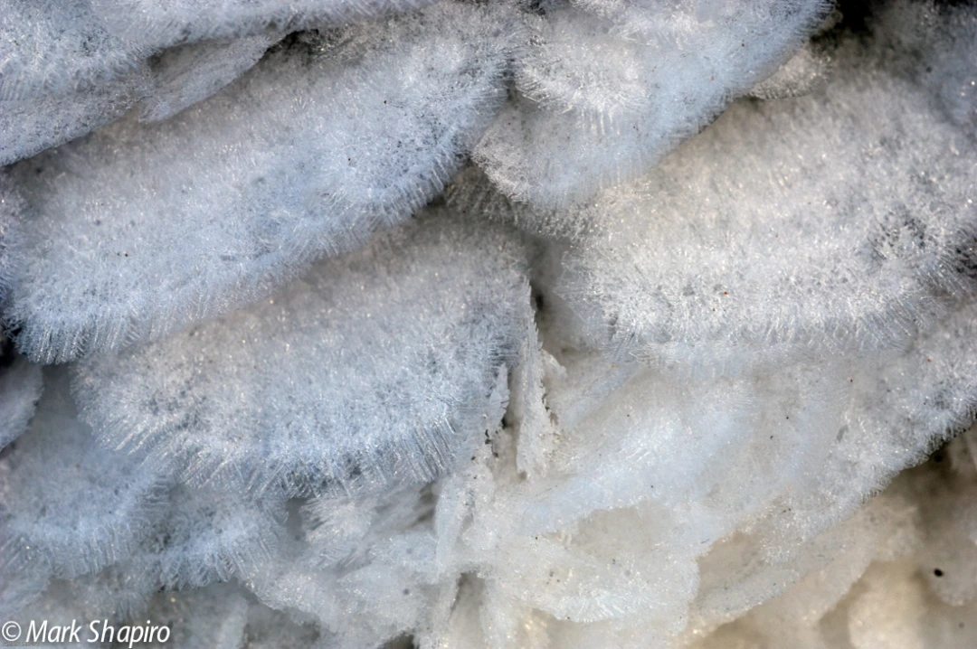 Elements-Ground Frost-12