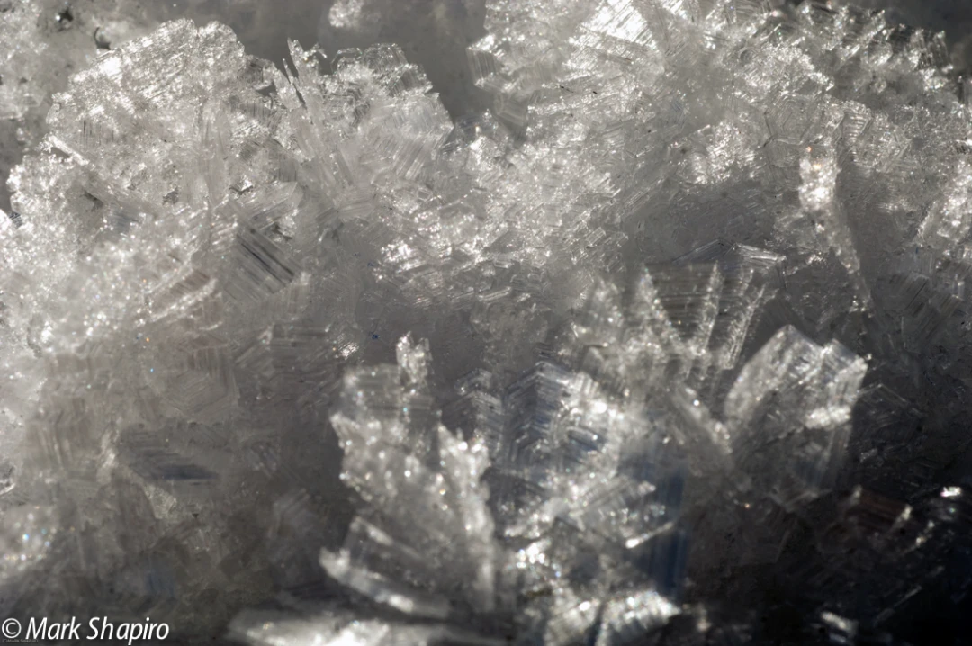 Elements-Ground Frost-123