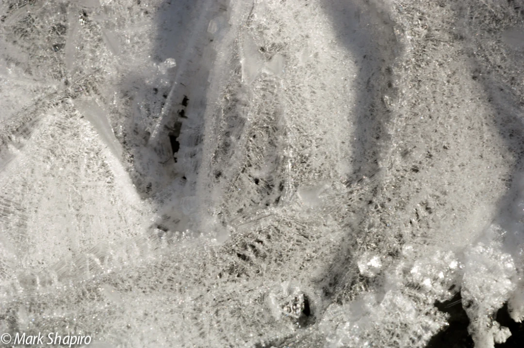 Elements-Ground Frost-128
