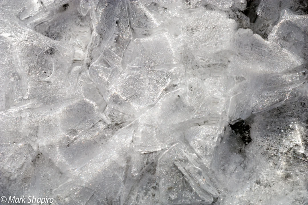Elements-Ground Frost-129