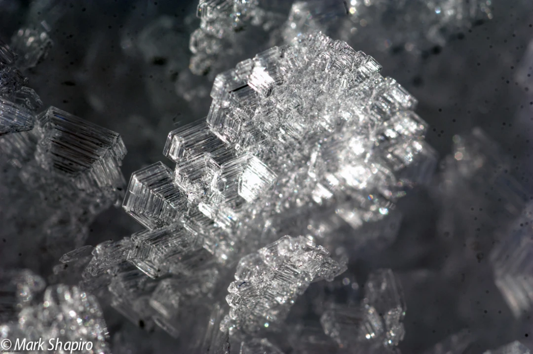 Elements-Ground Frost-130