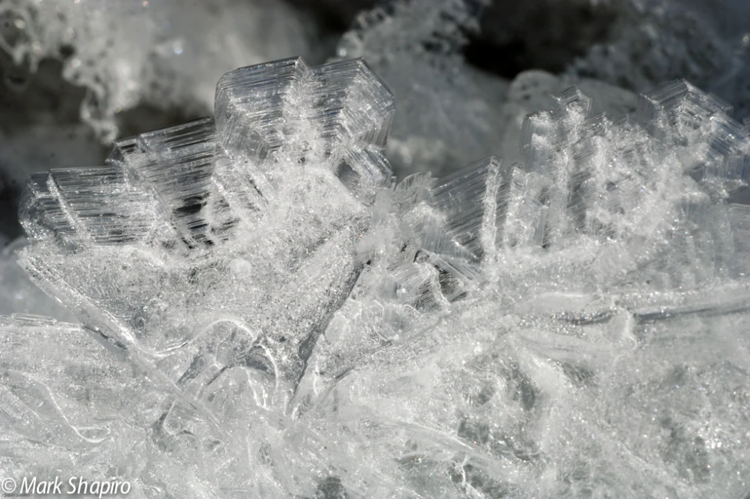 Elements-Ground Frost-131