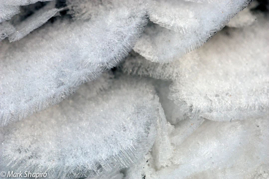 Elements-Ground Frost-13