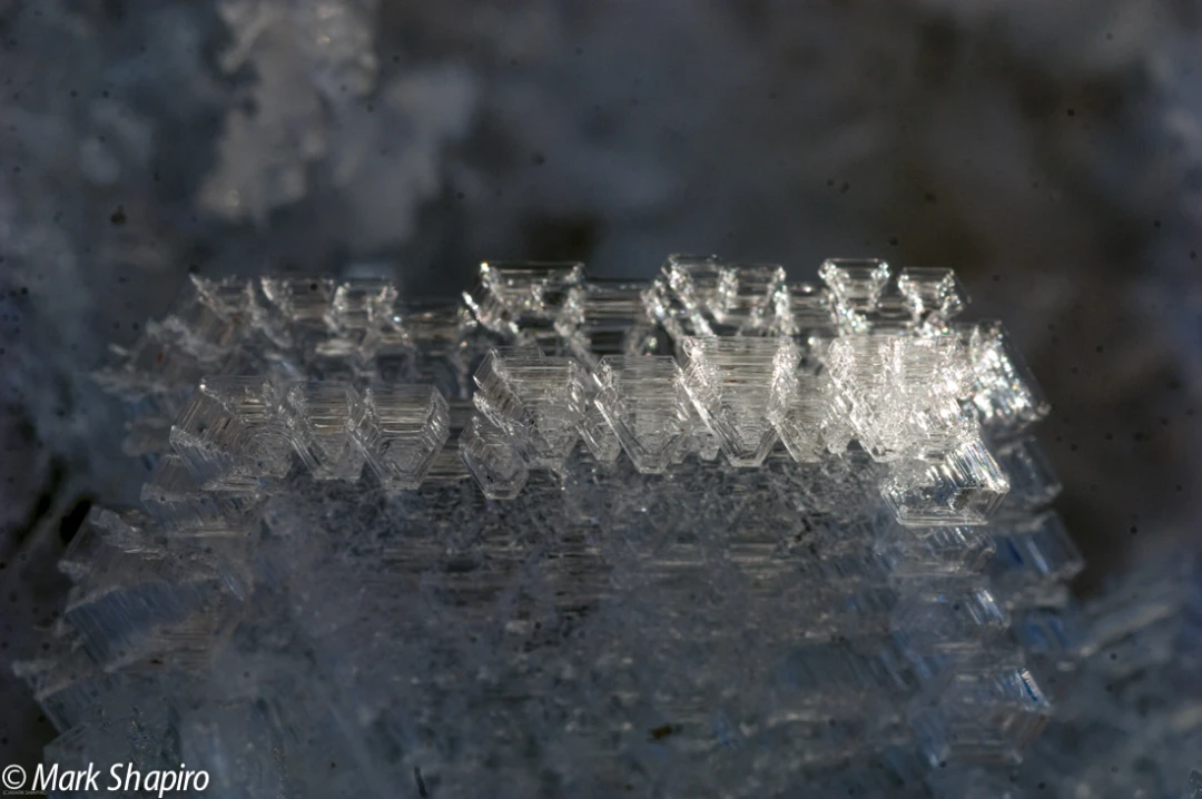 Elements-Ground Frost-133