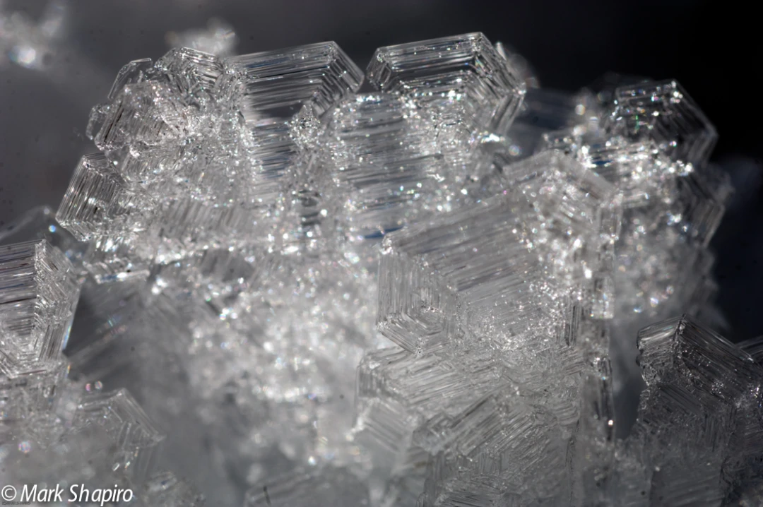 Elements-Ground Frost-134