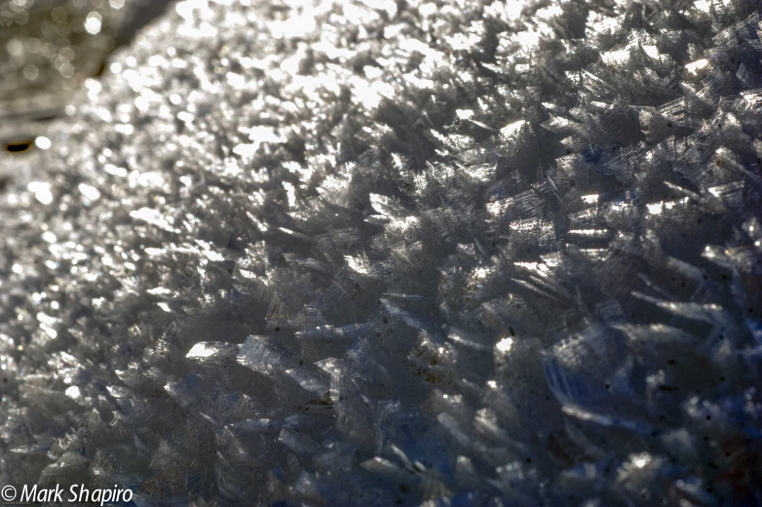 Elements-Ground Frost-135