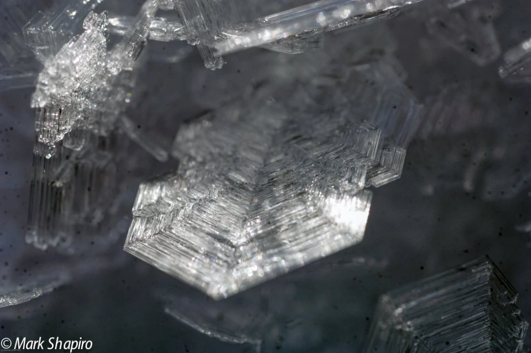 Elements-Ground Frost-136