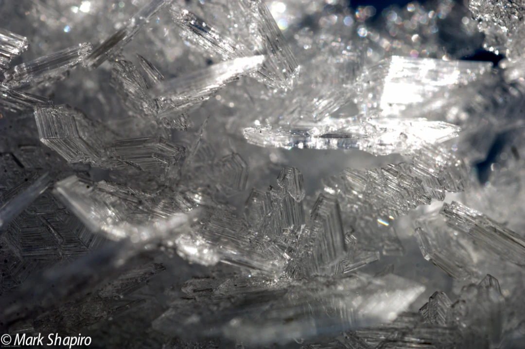 Elements-Ground Frost-137