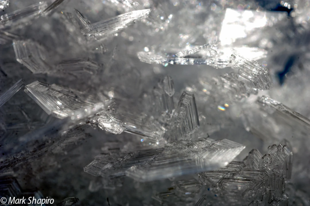 Elements-Ground Frost-138