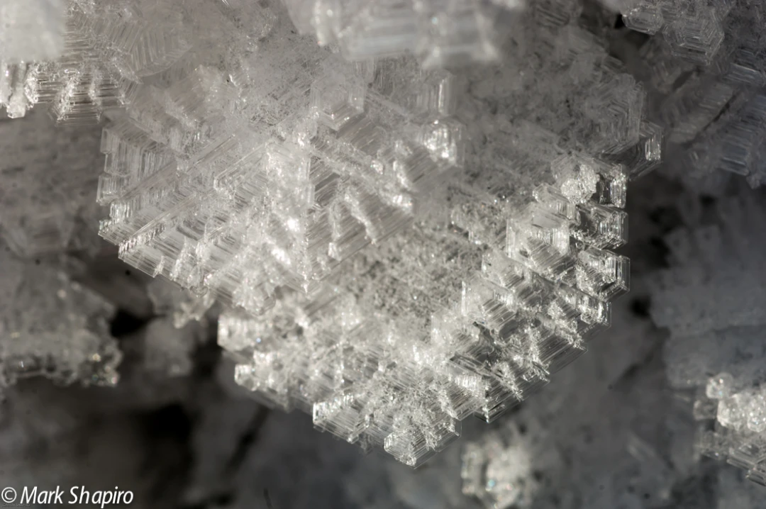 Elements-Ground Frost-140