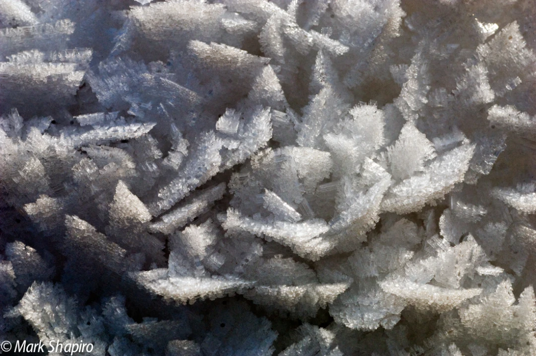 Elements-Ground Frost-14