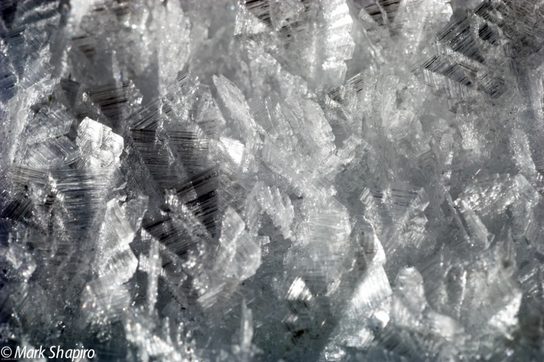 Elements-Ground Frost-142