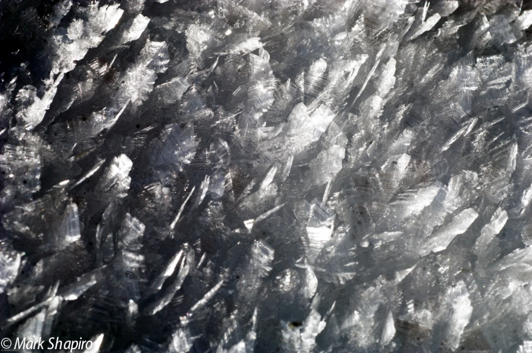 Elements-Ground Frost-143