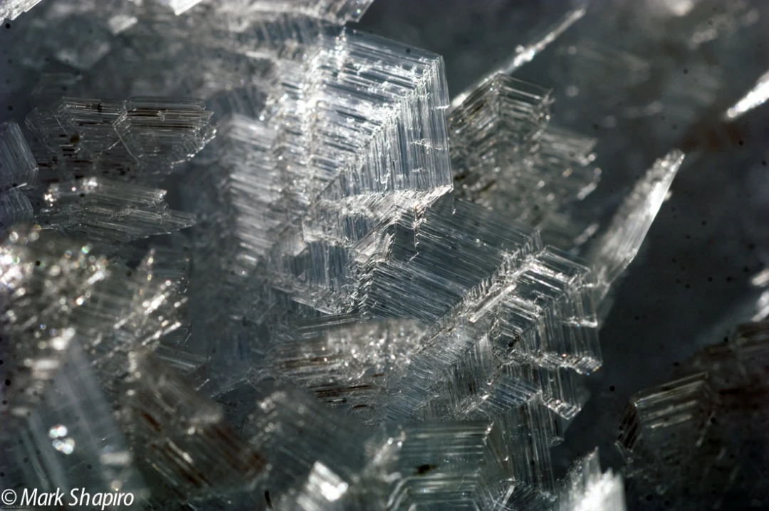 Elements-Ground Frost-144