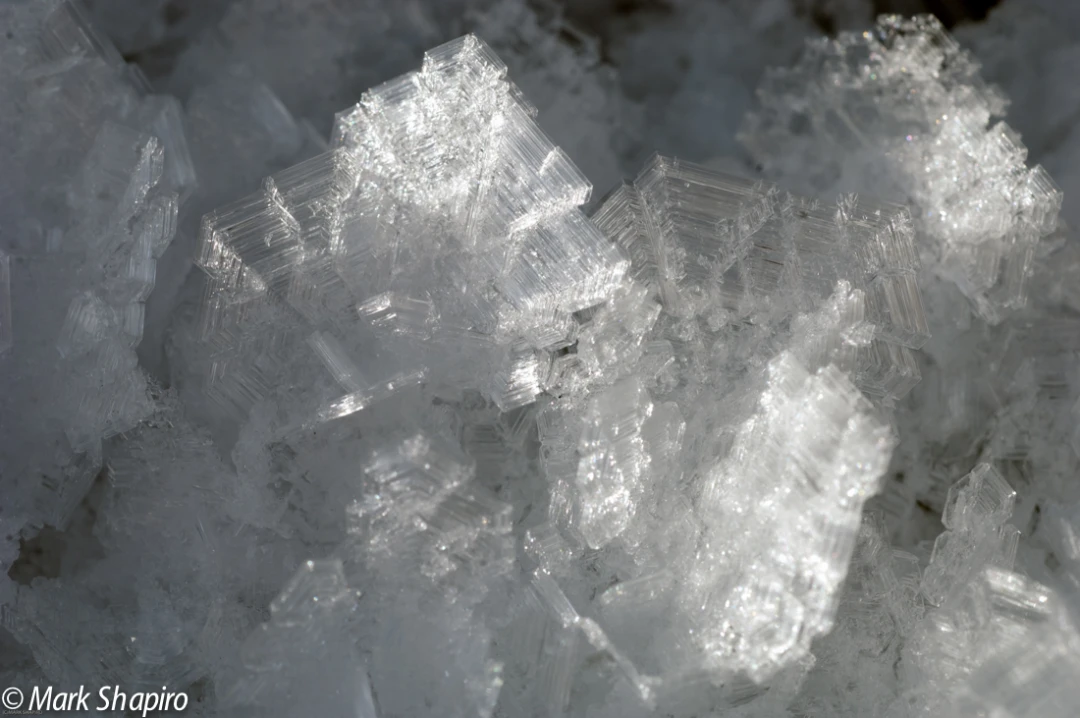 Elements-Ground Frost-145