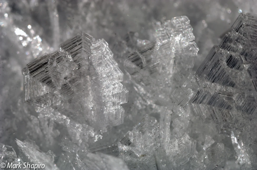 Elements-Ground Frost-146