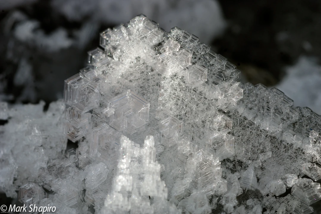 Elements-Ground Frost-147